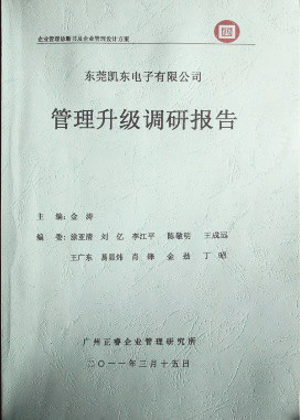 2011年3月15日，正睿咨詢(xún)專(zhuān)家向凱東決策層陳述調(diào)研報(bào)告