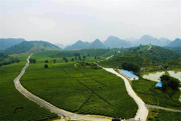 清遠(yuǎn)管理咨詢機(jī)構(gòu)的定制化服務(wù)方面包含哪些內(nèi)容？